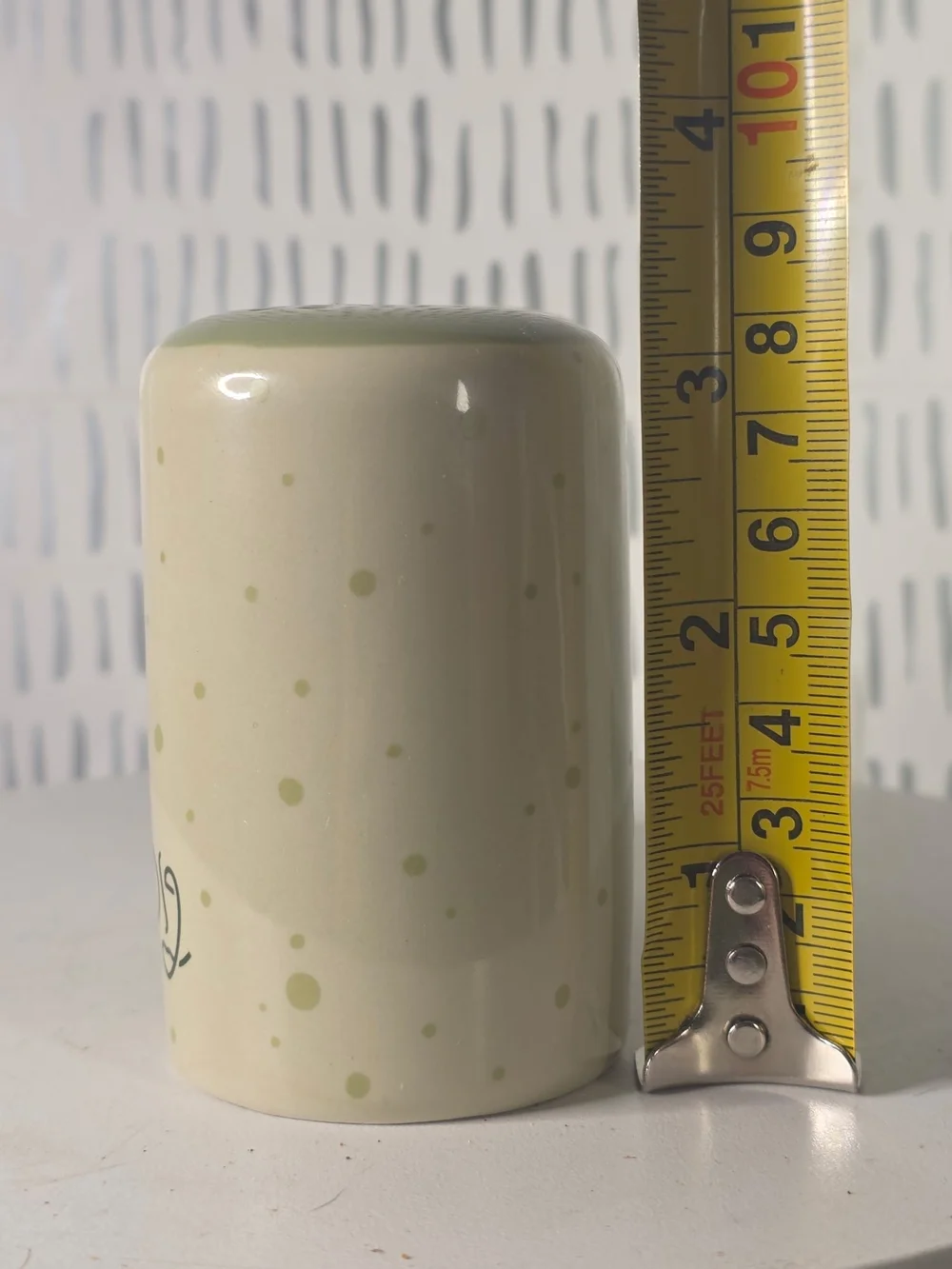Salt and Pepper Shaker Set with DS2 Logo - Sage Green & Cream